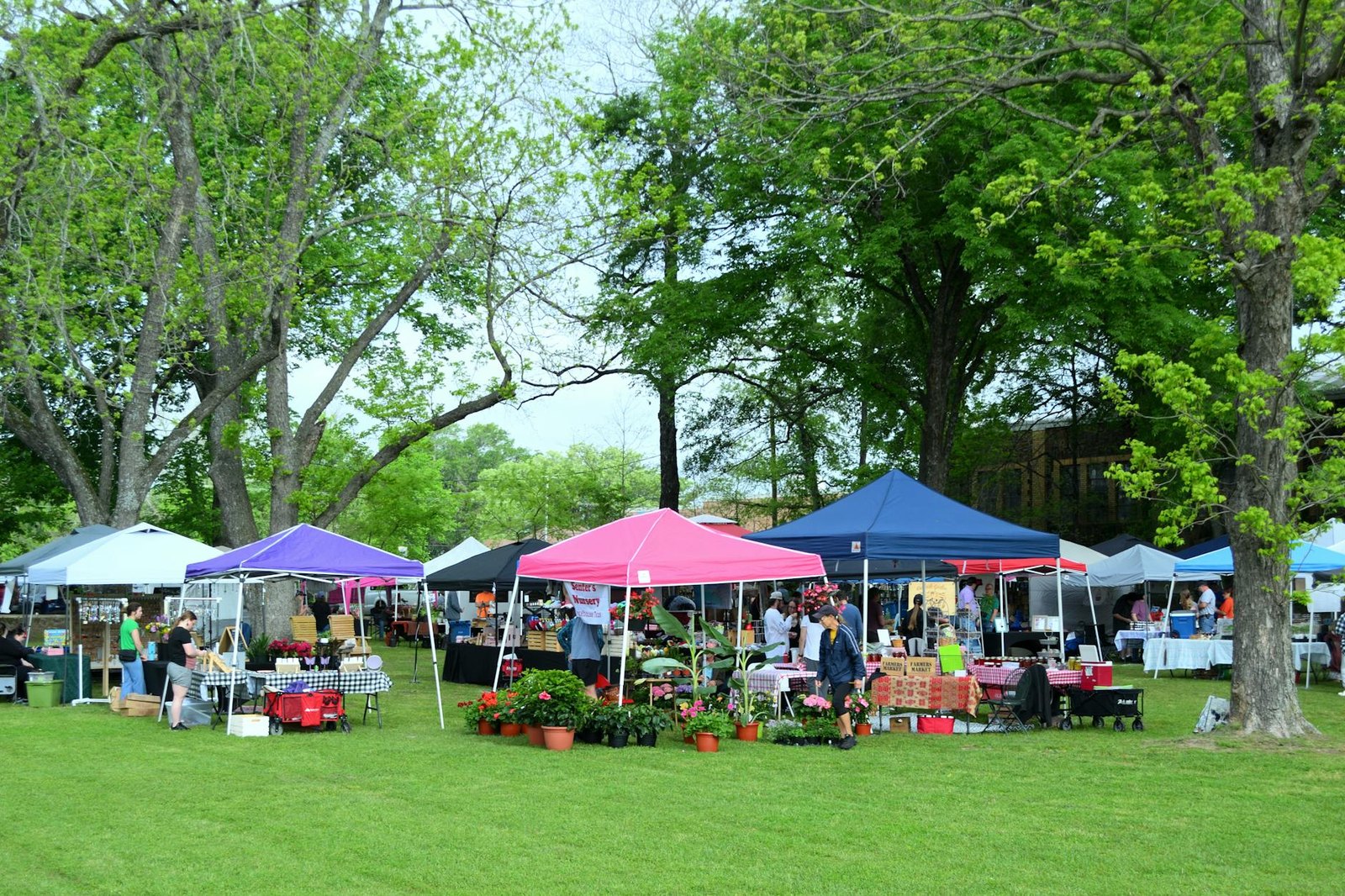 Outdoor farmers market vendor stalls on a Saturday morning in Argyle, Texas