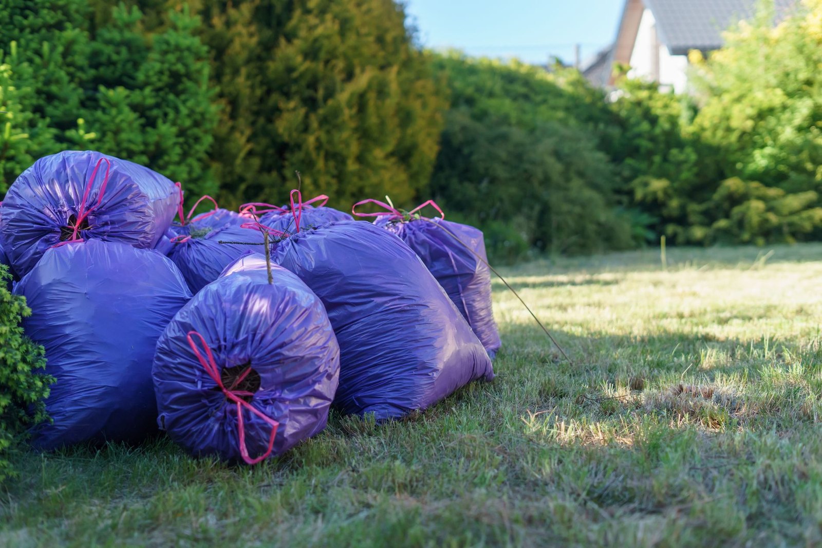 Residential curbside yard waste paper lawn bags autumn leaves