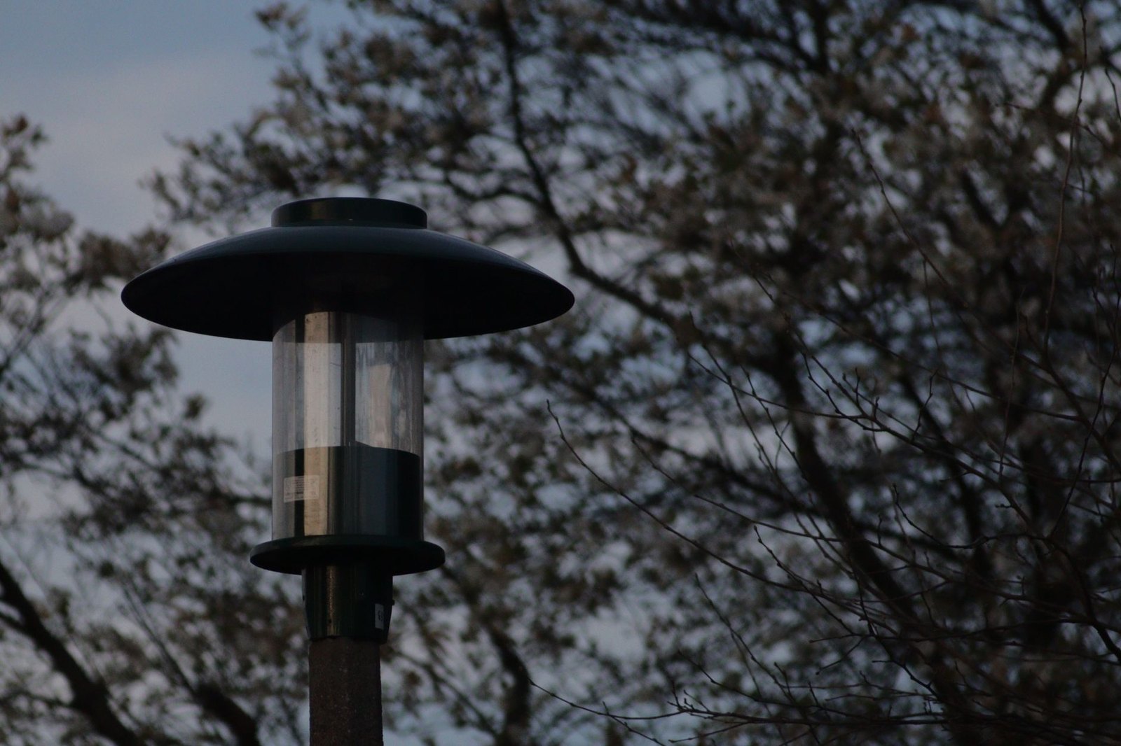 Mosquito trap on outdoor post near park