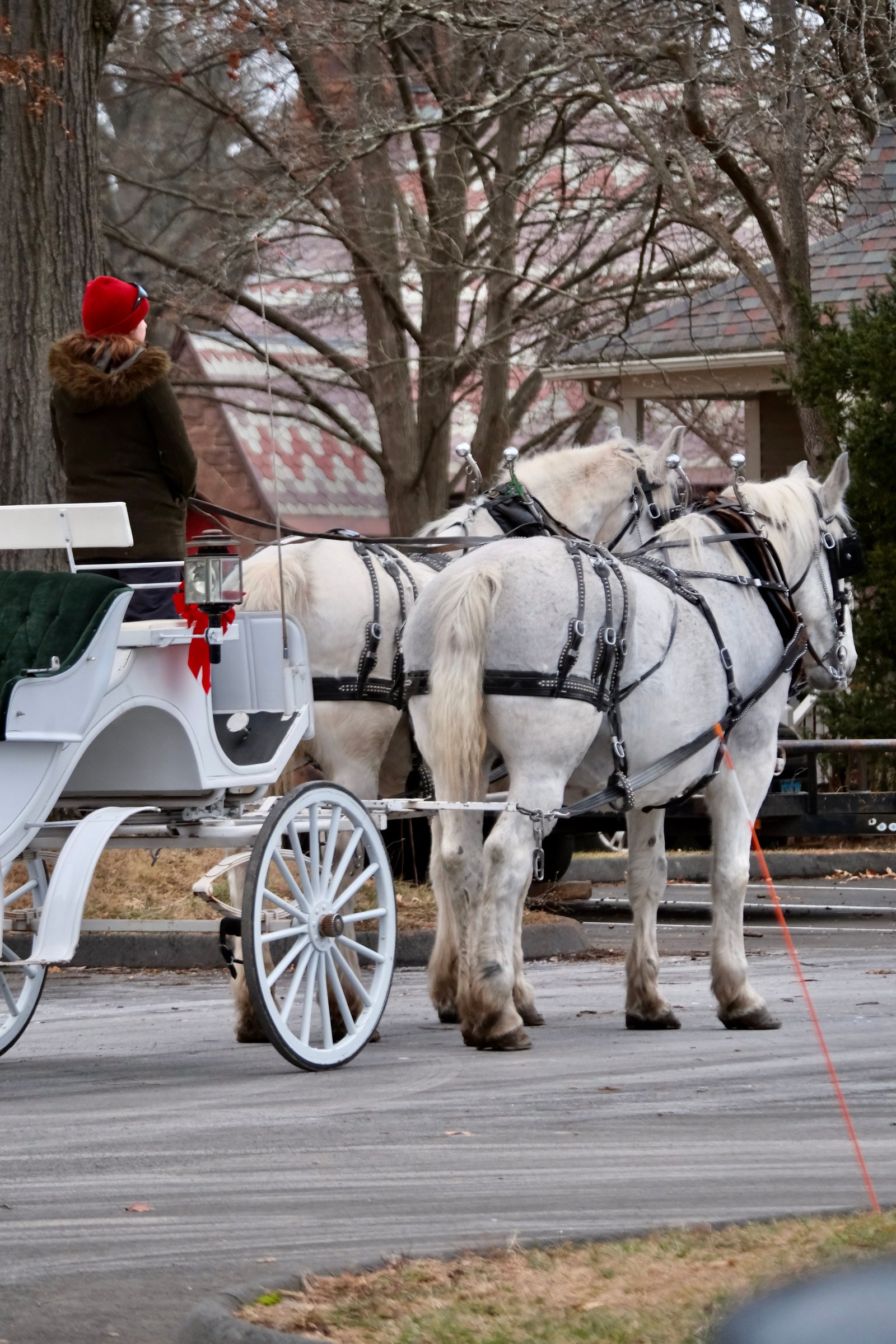 Carriage