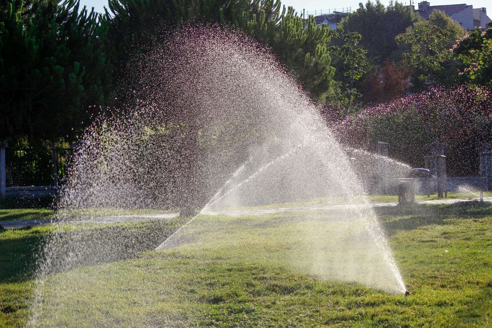 Automatic sprinkler system watering a green suburban lawn in summer