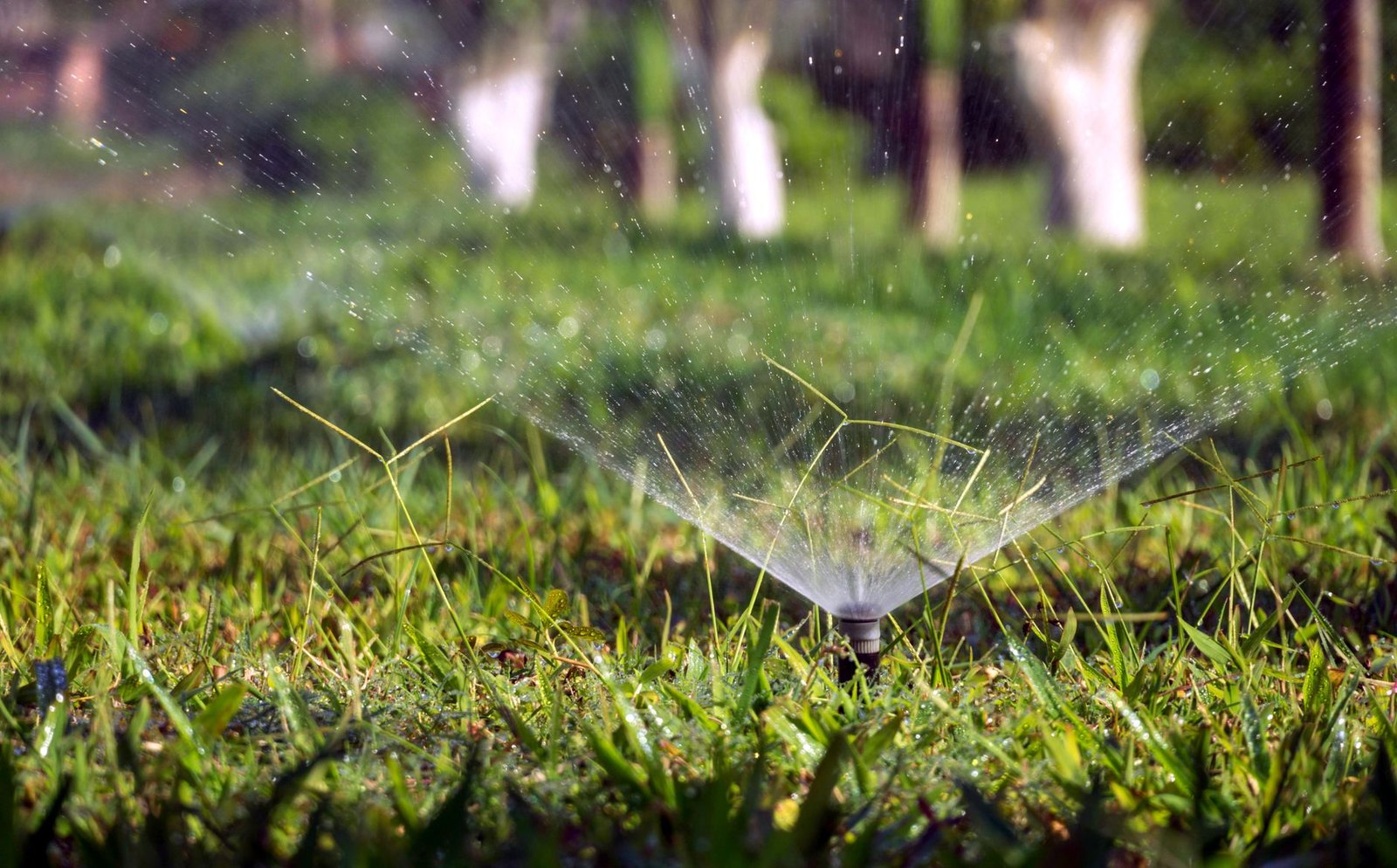 Automatic sprinkler spraying a residential lawn in Flower Mound, TX