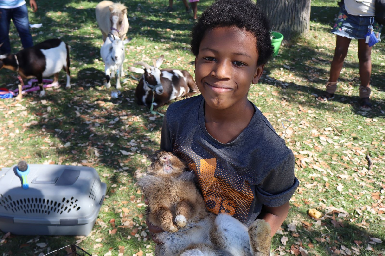 Petting zoo children at outdoor fall festival