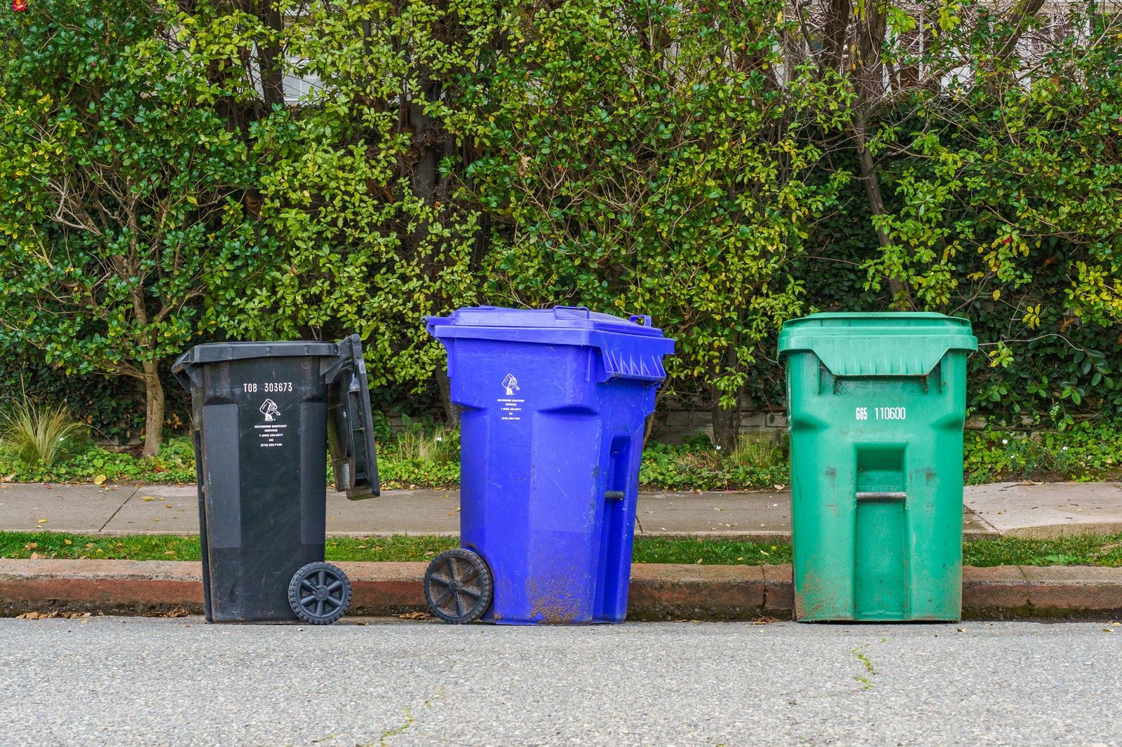 Blue recycling cart and gray trash cart waiting at the curb on collection day