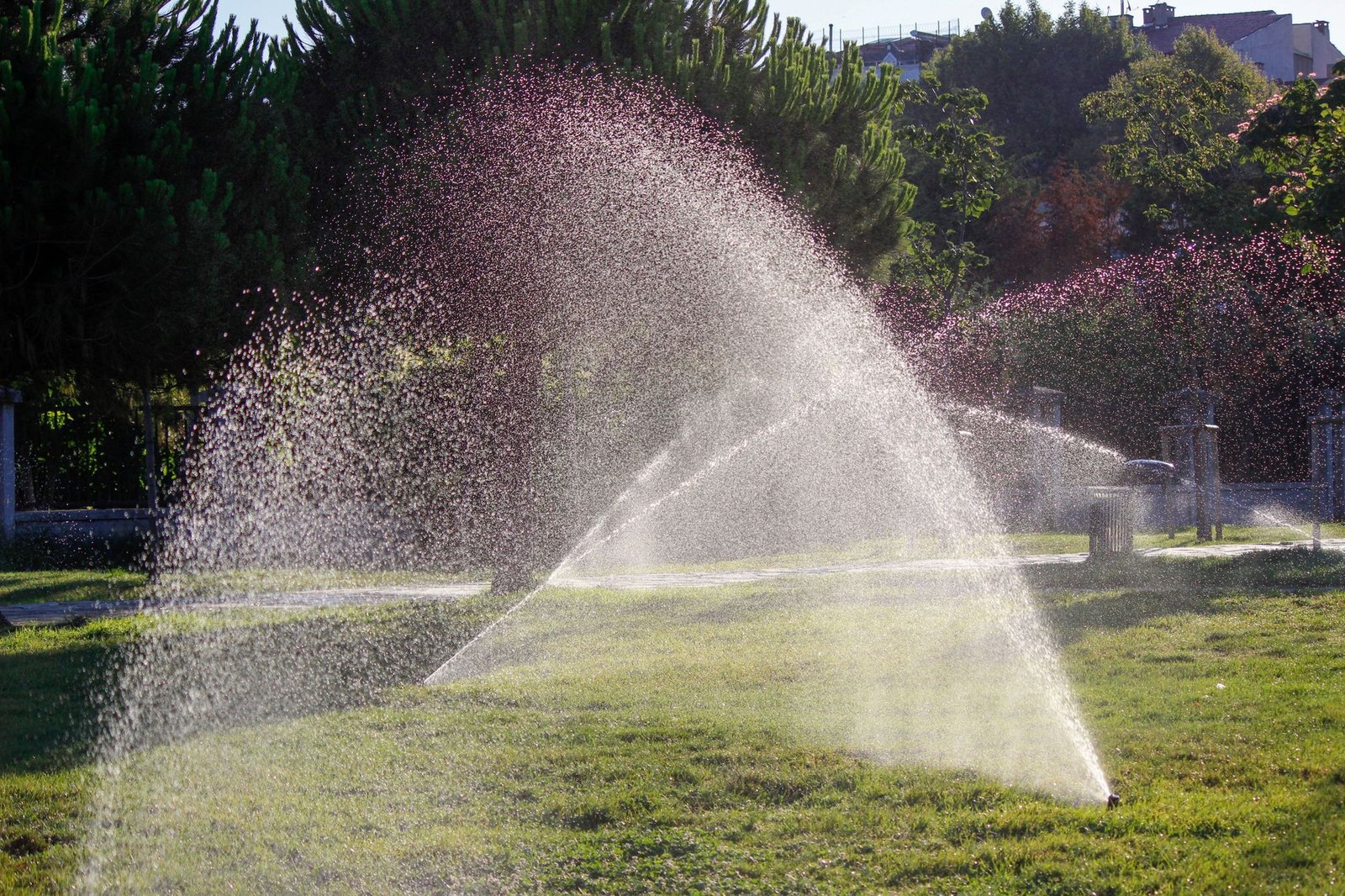 Sprinkler system watering a residential lawn in the early morning