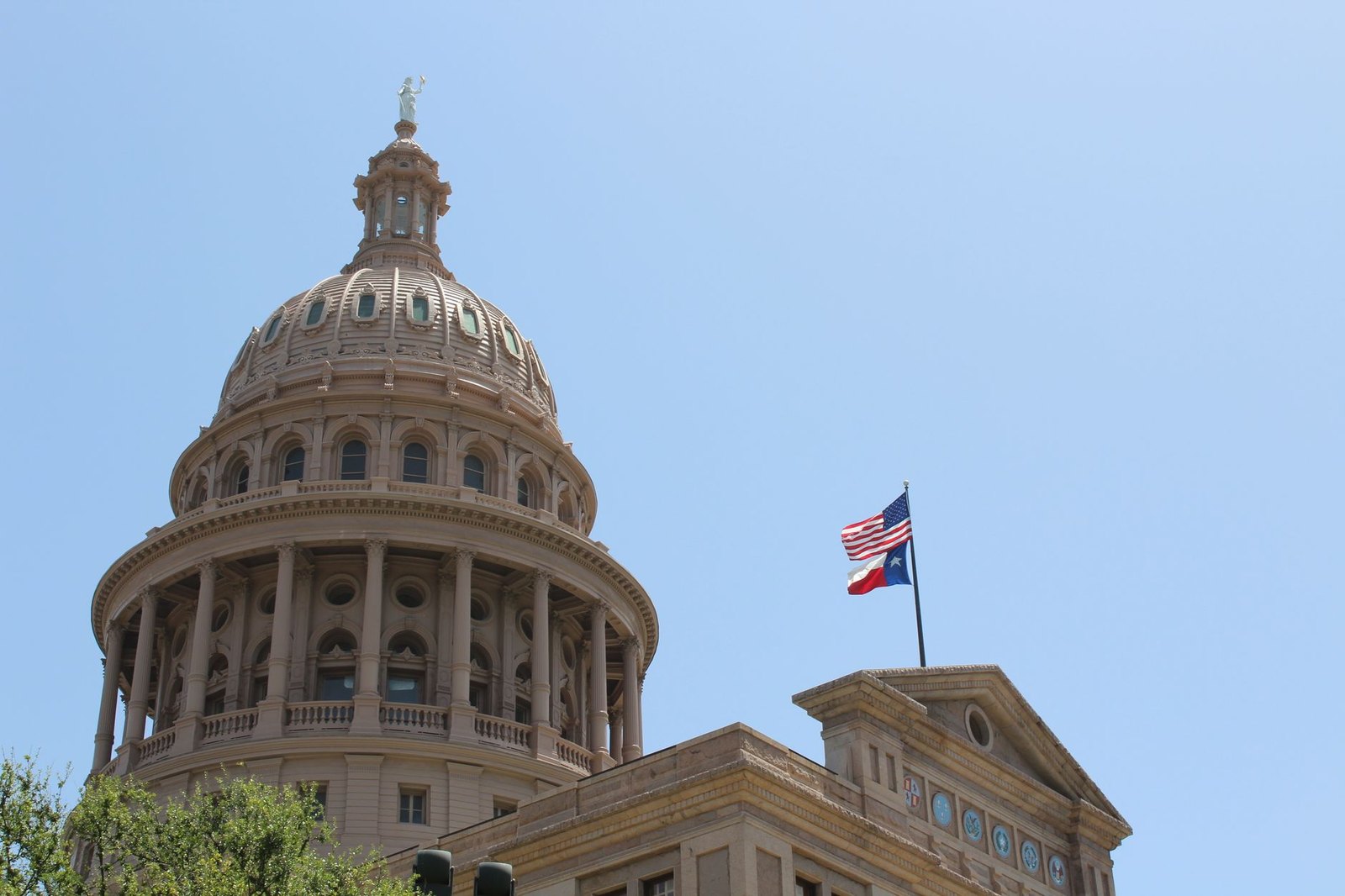The Texas Secretary of State office, the state's chief elections authority