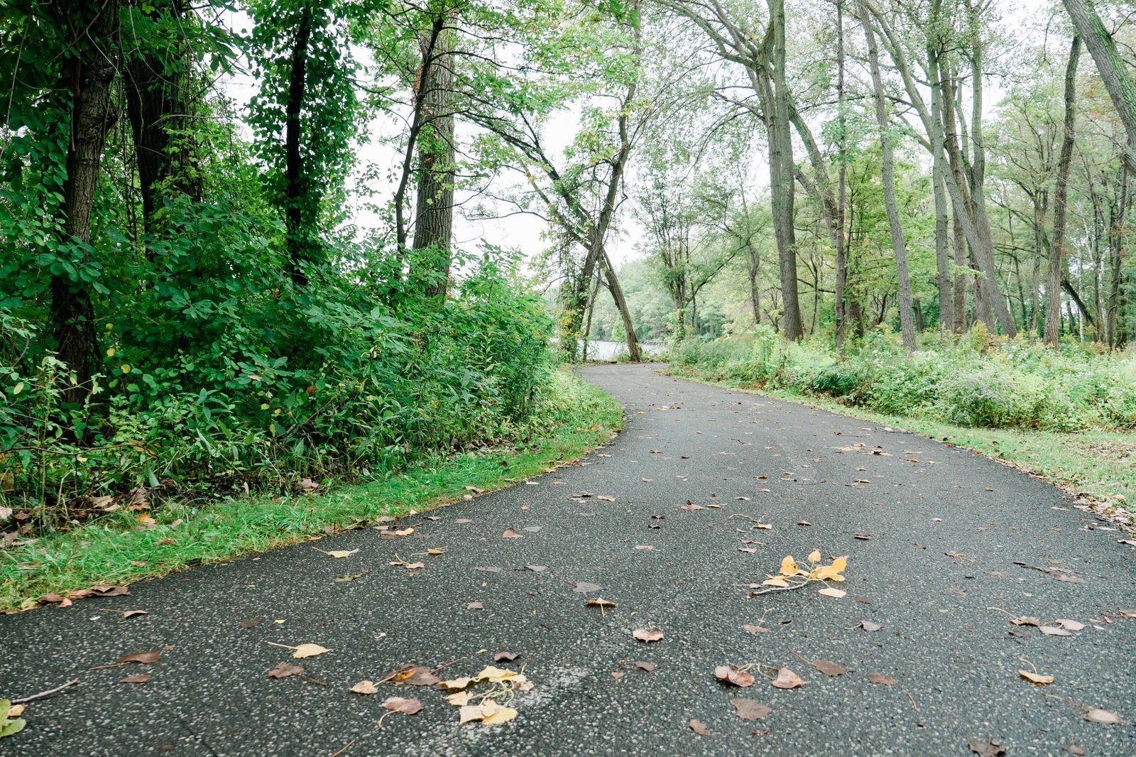 Community park walking trail paved loop