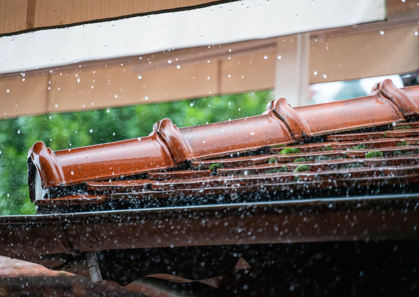 Clogged rain gutter filled with standing water on a Flower Mound home